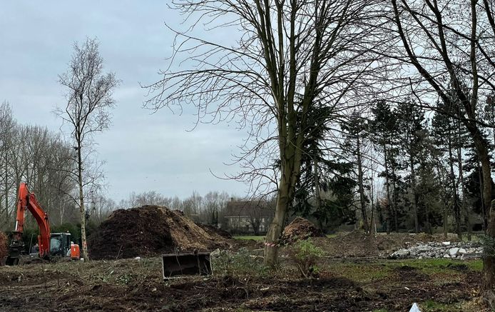 Hoewel een vergunning geweigerd was, werden er toch bomen gerooid op de toekomstige projectgrond waar een ontwikkelaar een nieuw woonproject zou willen realiseren.