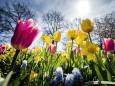 Start van de lente: wat weet jij van het seizoen?