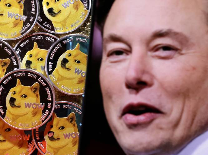 Investeerder eist 258 miljard dollar van Elon Musk voor zijn steun aan cryptomunt dogecoin