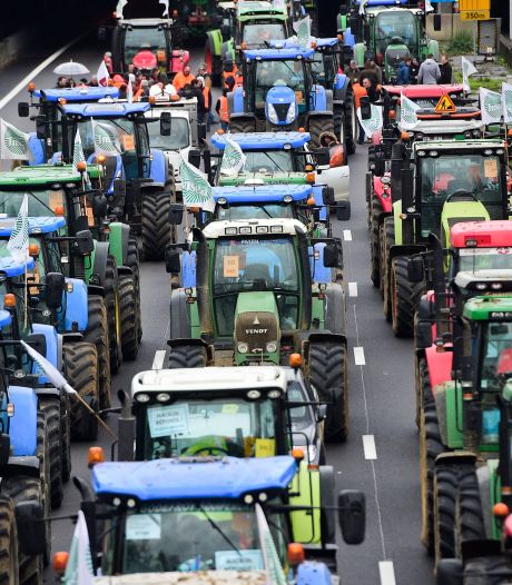 Le 13 décembre, des milliers de tracteurs se rendront à Bruxelles pour protester: gros embarras de circulation à prévoir