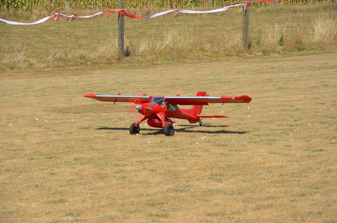 De fly-in van de 20-jarige modelluchtvaartclub 'The Little Wings’ uit Heldergem (Haaltert).