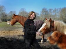 Bertie Steur haalt op eigen kracht zetel bij provincie én waterschap