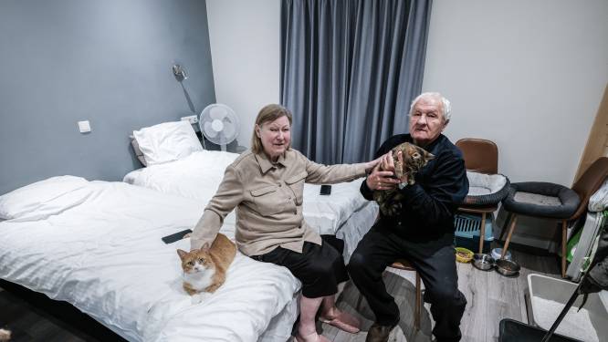 Valentina (75) en Anatoly (73) willen maar één ding: een dak boven het hoofd sámen met hun katten