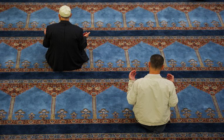 Gebed in een Nederlandse moskee. Deze personen zijn voor zover bekend niet betrokken bij discriminatie van sjiieten. Beeld anp