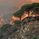 Honderden toeristen uit vakantieoord op Sicilië geëvacueerd door bosbranden