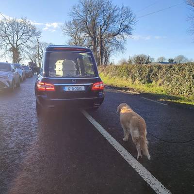 Trouwe hond brengt hartbrekend eerbetoon aan overleden baasje