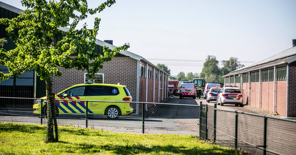 Ernstig ongeluk met kind op boerenerf komt nog ‘te vaak' voor: ‘We willen dit gewoon zoveel mogelijk voorkomen' .