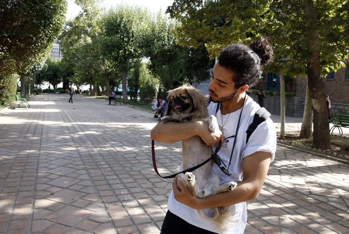 Het uitlaten van honden kan worden gezien als een misdaad in Teheran, Iran. Honden zijn een symbool van “verwestersing” voor de het regerende regime.