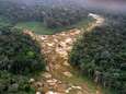 Iedere zes seconden verdwijnt een voetbalveld tropisch oerbos 