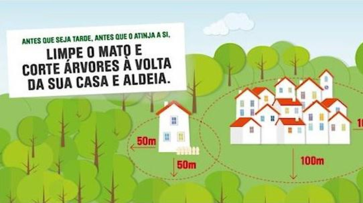 Een Portugese graphic over de schoonmaak van bossen. Beeld  