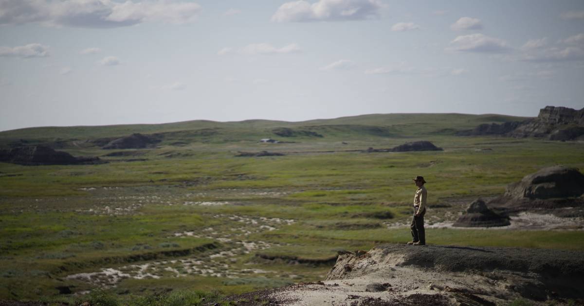 Discovery of fossils for the first time could provide a direct link between the extinction of dinosaurs and the impact of asteroids  Science and the planet