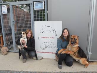 Dierenasiel Ninove ontvangt 7.900 euro energiesteun