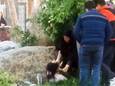 Hartverscheurende beelden tonen hoe Iraanse zedenpolitie meisje zonder hoofddoek hard aanpakt, maar omstaanders schieten te hulp