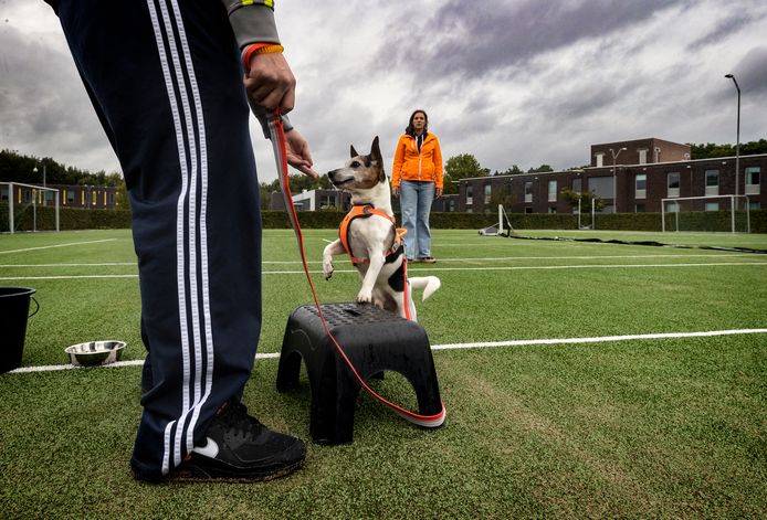 Demonstratie van gedetineerden met honden van Dutch Cell Dogs bij de Woenselse Poort.