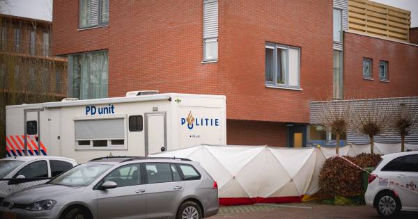 Bij steekpartij Wageningen gewond geraakte medewerkers RIBW weer thuis .