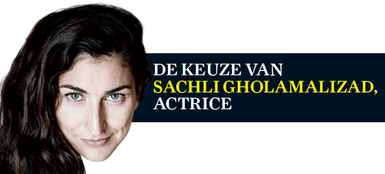 Sachli Beeld Humo
