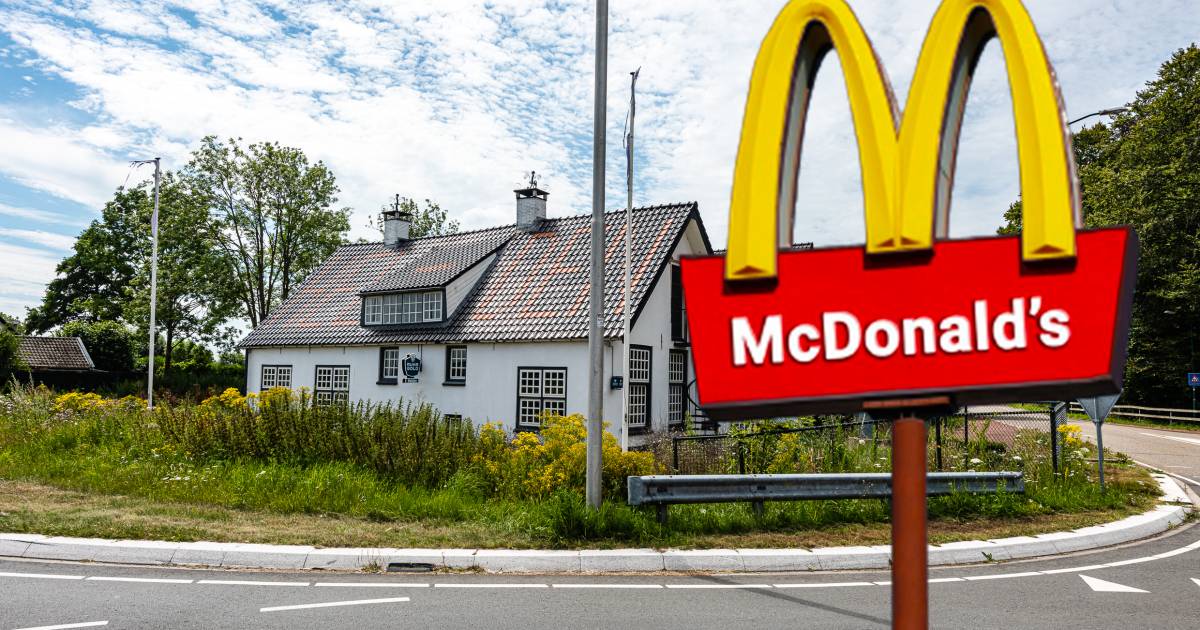 Binnenkort een Big Mac halen bij de McDrive in Maartensdijk? De buren moeten er niet aan denken - De