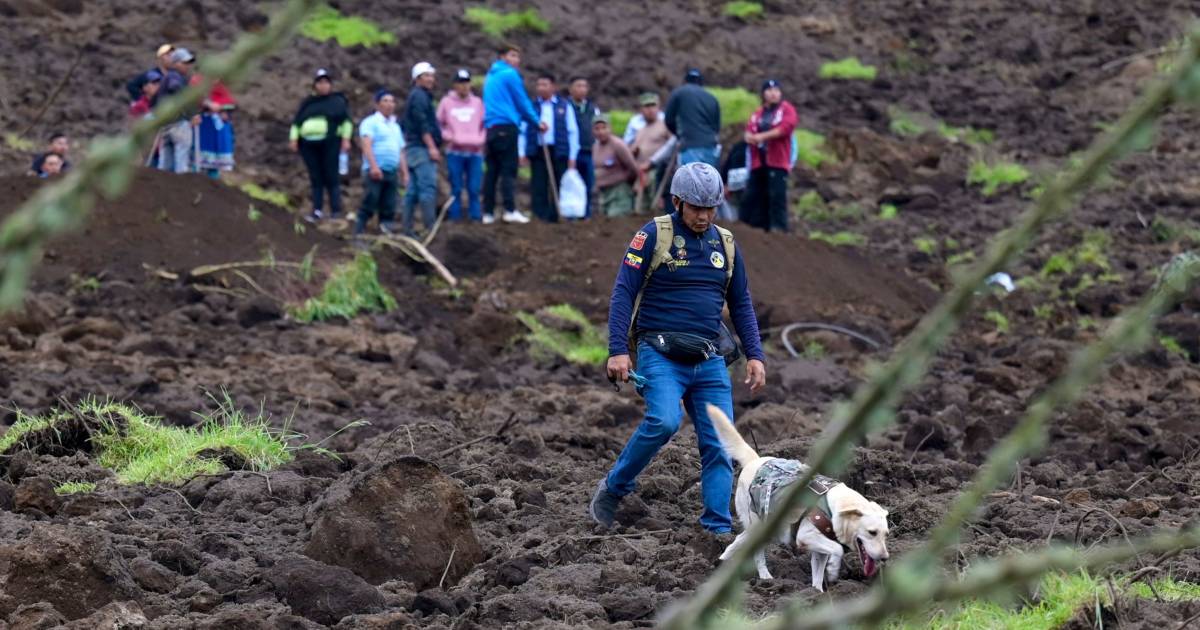 Dead and dozens missing after a landslide in the Andes mountains of Ecuador |  outside