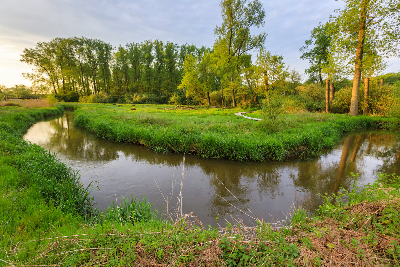 Het riviertje de Dommel in Zuidoost-Brabant.