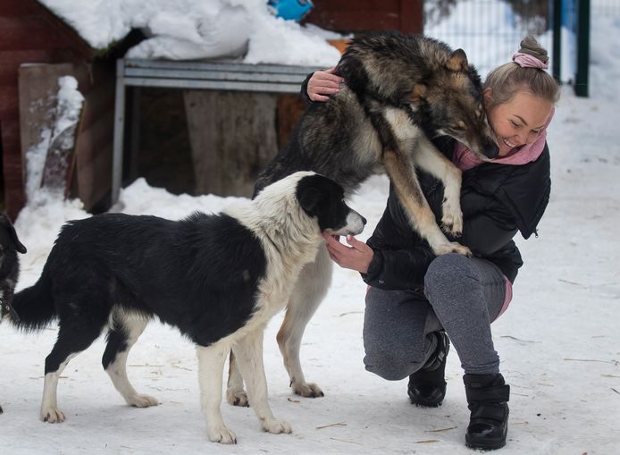 Ilona Reklaityte met enkele honden van haar eigen asiel.