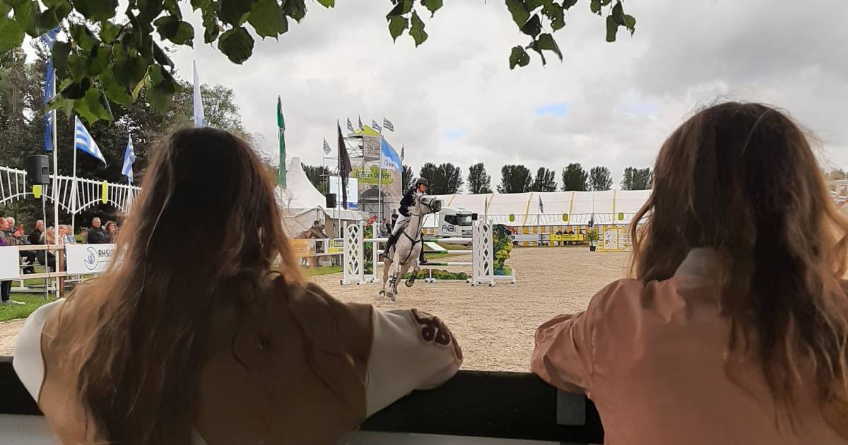 MIJN FOTO Hop, hop, hop paardje in galop Van de lezer Zeeuws nieuws pzc.nl