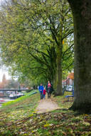 Oostelijk ligt er een oud versleten paadje om te wandelen.