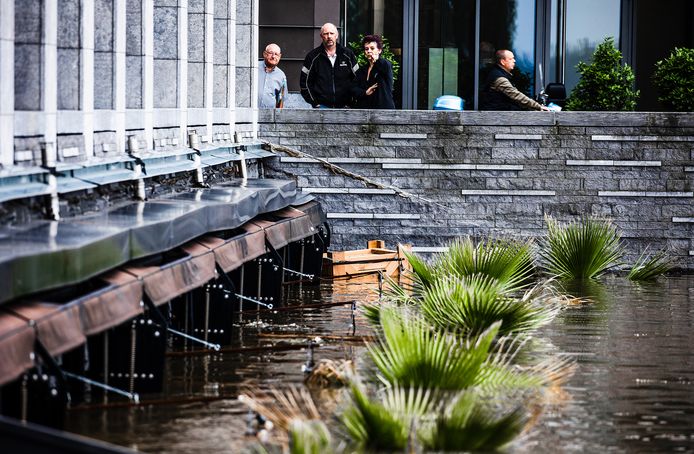 Palmbomen van een terras aan de Maasboulevard zijn bijna niet meer te zien.