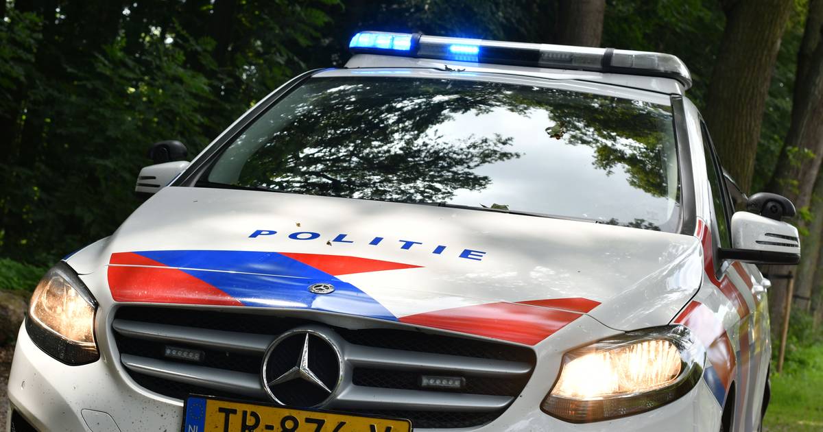 Loslopende hond in Gilze bijt andere hond dood | Tilburg | ed.nl - Eindhovens Dagblad