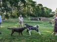 Woensdagochtend werd de nieuwe hondenloopweide aan OC 't Cirkant in Marke voorgesteld