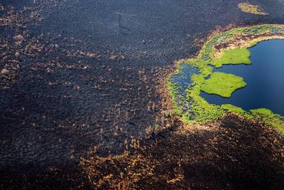 Rusland kampt nog steeds met 177 bosbranden