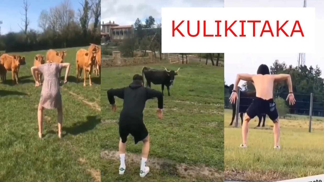 Een levensgevaarlijk spel op sociale media: koeien bang maken. Beeld TikTok