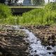 Vlaamse Milieumaatschappij: ‘Grondwaterstanden minder snel gedaald dan in maanden ervoor’