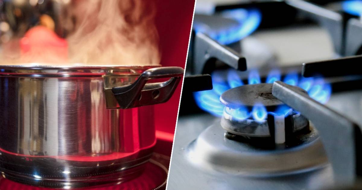 Volg ons blauwe vinvis herhaling Koken op gas of inductie? Dit is het verschil op je energiefactuur | Geld |  hln.be