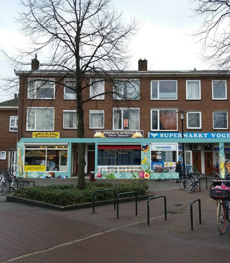 Vogelplein in Dordrecht opgeknapt met muurschilderingen