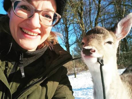 Hertjes mogen niet meer op de kinderboerderij, maar kameel wel: ‘Wel een beetje bizar’