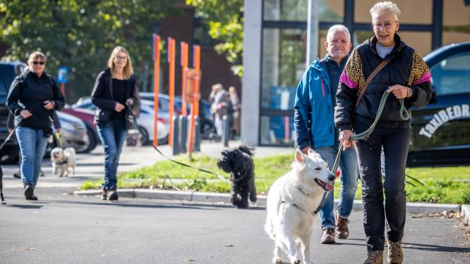Hasselt opent eerste hondenlosloopbos op 12 april