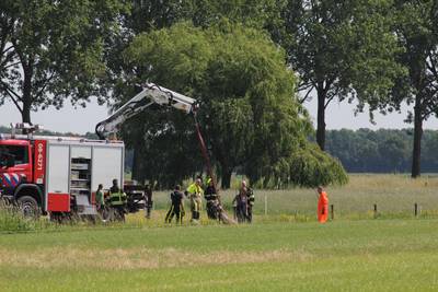 Paard overleden na in sloot in Ravenswaaij te zijn beland