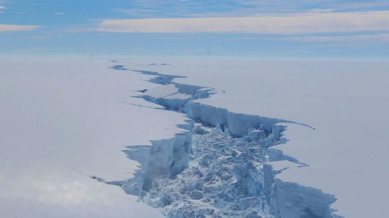 'Wetenschappers onderzoeken of de drijvende ijskappen rond het continent van onderaf afsmelten. Als die smelten heeft dat geen gevolgen voor het mondiale zeeniveau, omdat ze al drijven.' Beeld afp