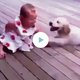 Lief! Hond knuffelt meisje