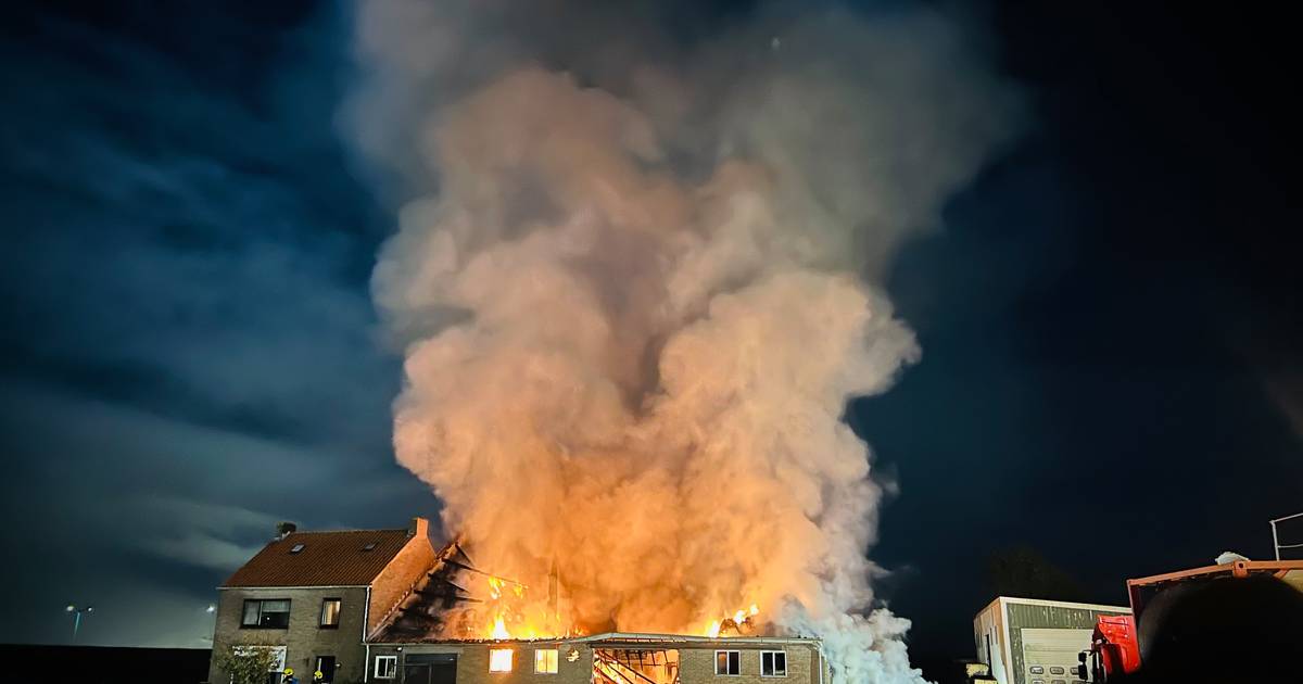 Brandweerlieden bedolven onder instortende muur bij grote brand in Zeeuwse Driewegen