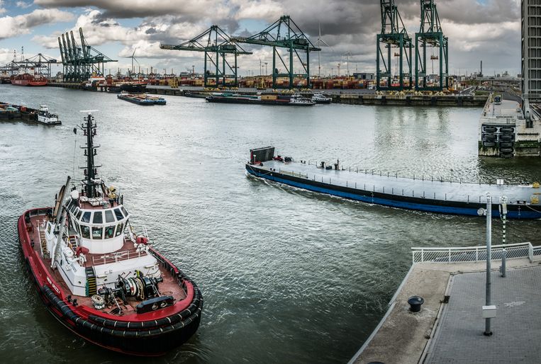 De haven van Antwerpen. Beeld © Bart Leye