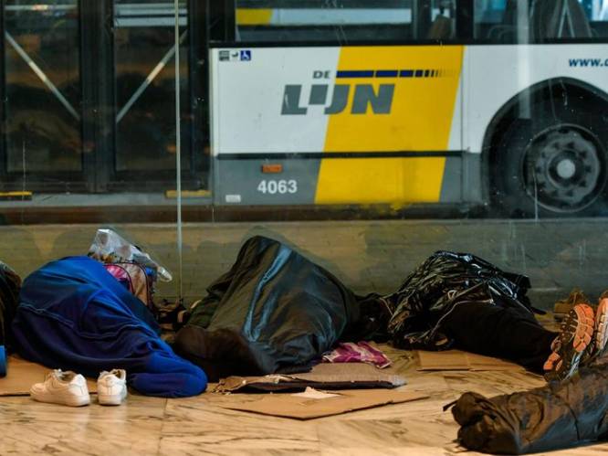 "Zonder structurele oplossing keren bussen niet terug naar Brussel-Noord”