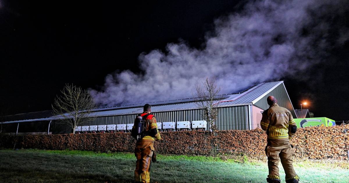 Brandmelding door grote rookwolken boven varkensstal in Heukelom, bleek loos alarm