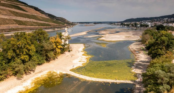 Il fiume Reno in Germania è asciutto in molti luoghi.