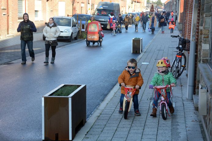 Stalen bloembakken zorgen ervoor dat chauffeurs niet langer fietsers kunnen inhalen over het voetpad.