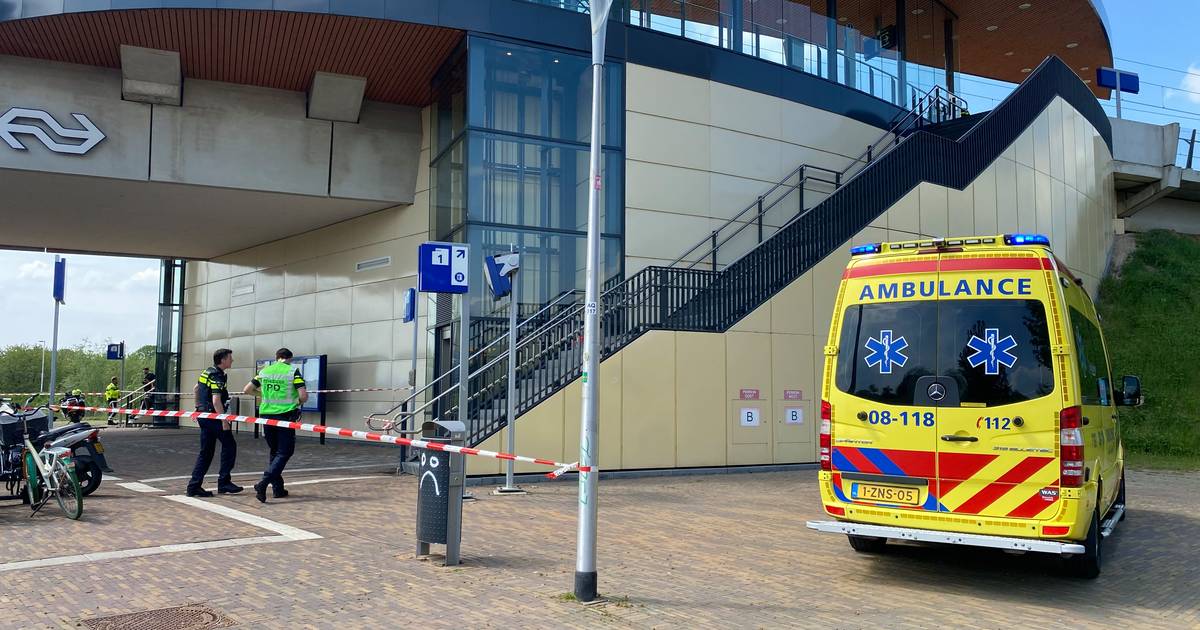Treinverkeer tussen Arnhem en Nijmegen ligt plat door aanrijding.