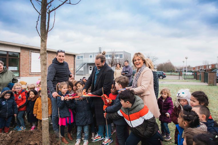 Basisschool Momentum plant klimaatboom | Sint-Truiden | In de buurt | HLN