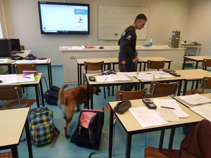 Bij de drugscontrole werd ook een hond ingezet.