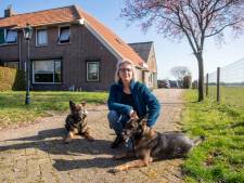 Het huis van Hanneke in Den Ham zit nu al vol scheuren, verzakt half Vroomshoop straks ook? ‘Dit wordt alleen maar erger’