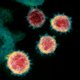 Kan het coronavirus worden doorgegeven via deurklink of winkelkar? En wat doen we nu best om niet besmet te raken?